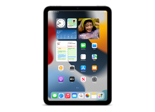 iPad14,2