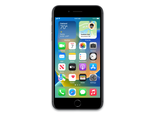 iPhone10,2