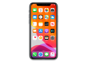 iPhone12,3