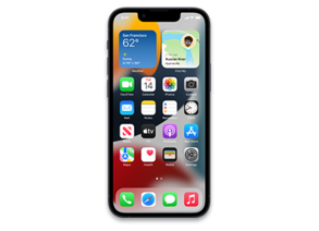 iPhone14,4